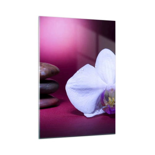 Quadro su vetro - Orchidea bianca e pietre su uno sfondo di luce viola - 50x70cm - Studio di freschezza in viola - Decorazione murale moderna per soggiorno e camera da letto ARTTOR