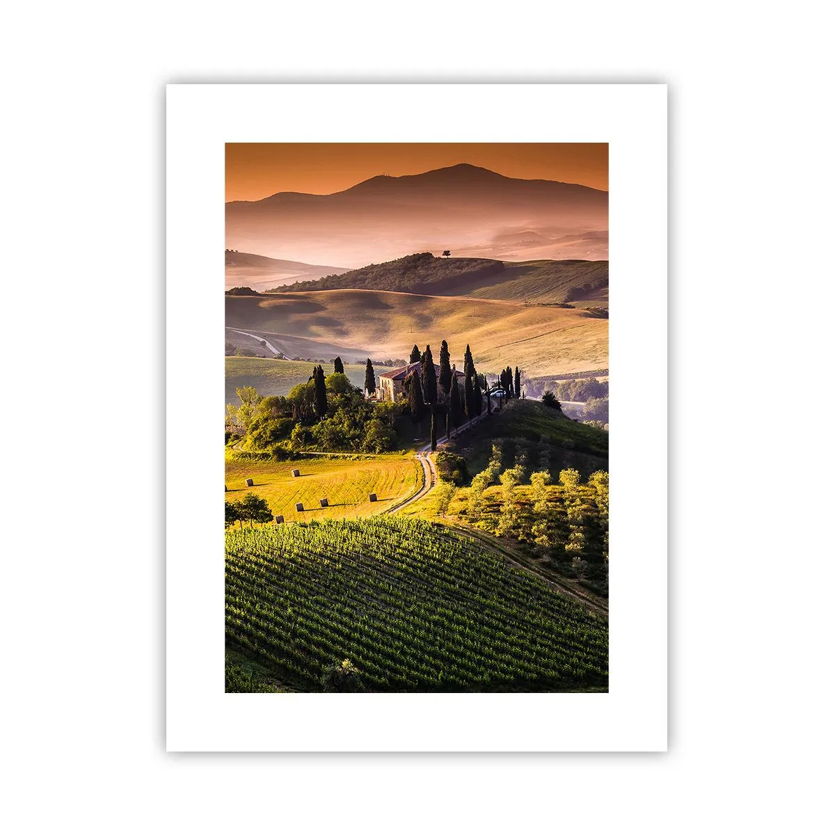 Poster - Arcadia: paesaggio toscano - 30x40 cm