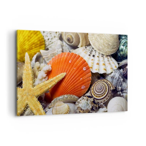 Quadro su tela - Stampe su Tela - Conchiglie e stelle marine in una composizione marina - 120x80cm - Tesori dell'oceano - Decorazione murale moderna per soggiorno e camera da letto ARTTOR
