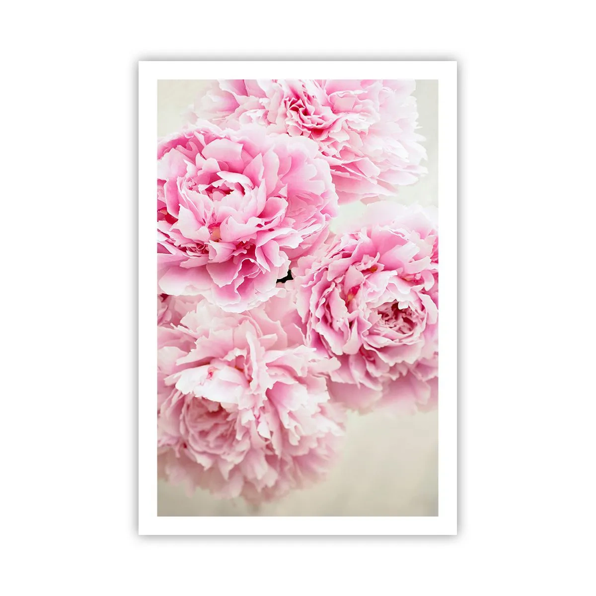 Poster - Nel fasto rosa - 61x91 cm