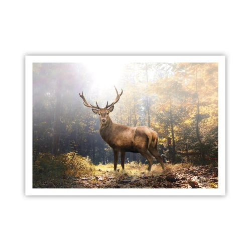 Poster - Cervi nella foresta autunnale con raggi di sole - 100x70cm - Nella piena maestà - Decorazione murale moderna per soggiorno e camera da letto ARTTOR