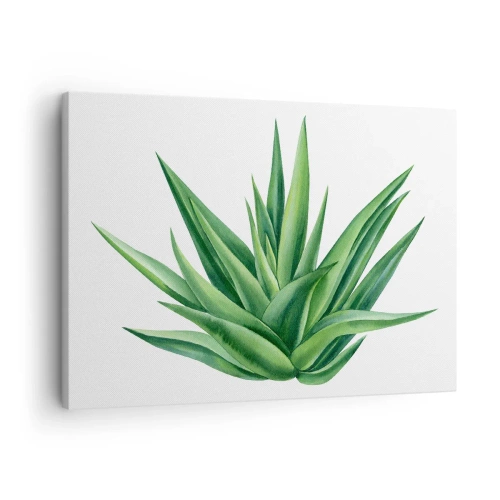 Quadro su tela - Stampe su Tela - Una pianta verde succosa su uno sfondo bianco - 70x50cm - Verde - forza - vita - Decorazione murale moderna per soggiorno e camera da letto ARTTOR