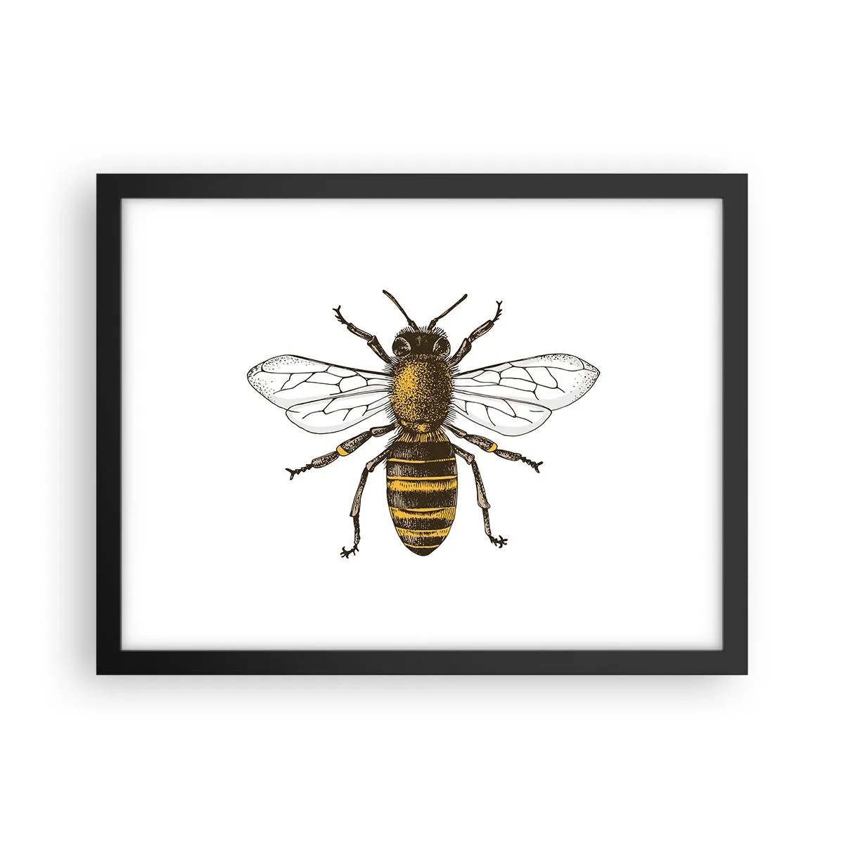 Poster in cornice nera - Bella e buona - 40x30 cm