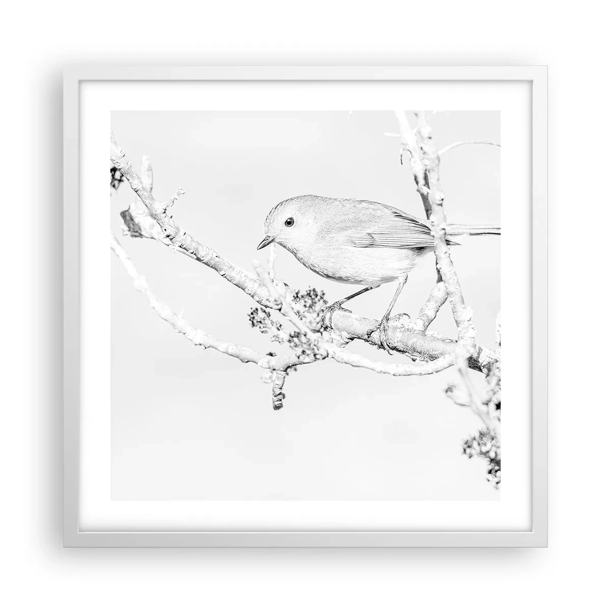 Poster in cornice bianca - Mattino invernale - 50x50 cm