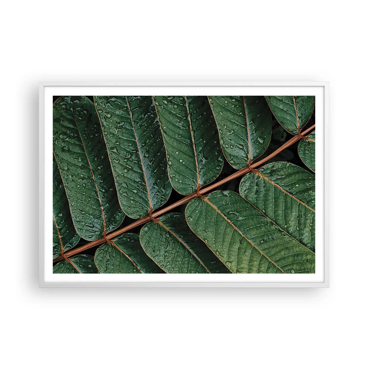 Poster in cornice bianca - Al ritmo verde - 100x70 cm