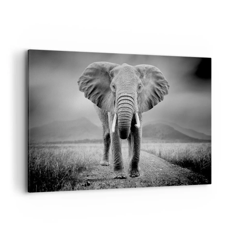 Quadro su tela - Stampe su Tela - Un possente elefante nella savana in toni monocromatici - 120x80cm - Il padrone di casa dà il benvenuto - Decorazione murale moderna per soggiorno e camera da letto ARTTOR
