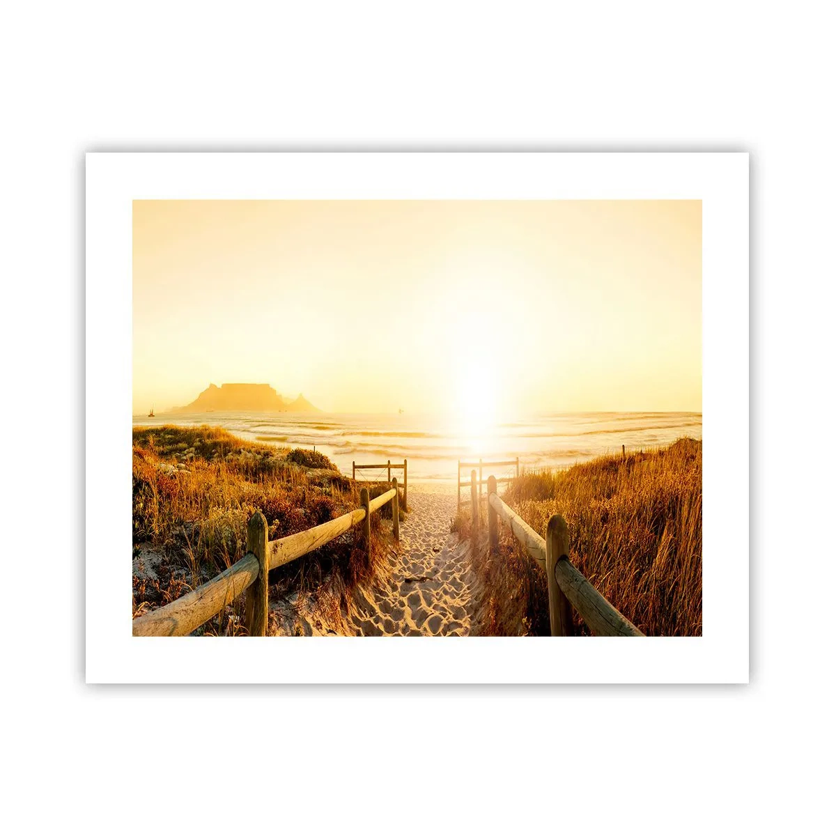 Poster - Attraverso la duna, verso il sole - 50x40 cm