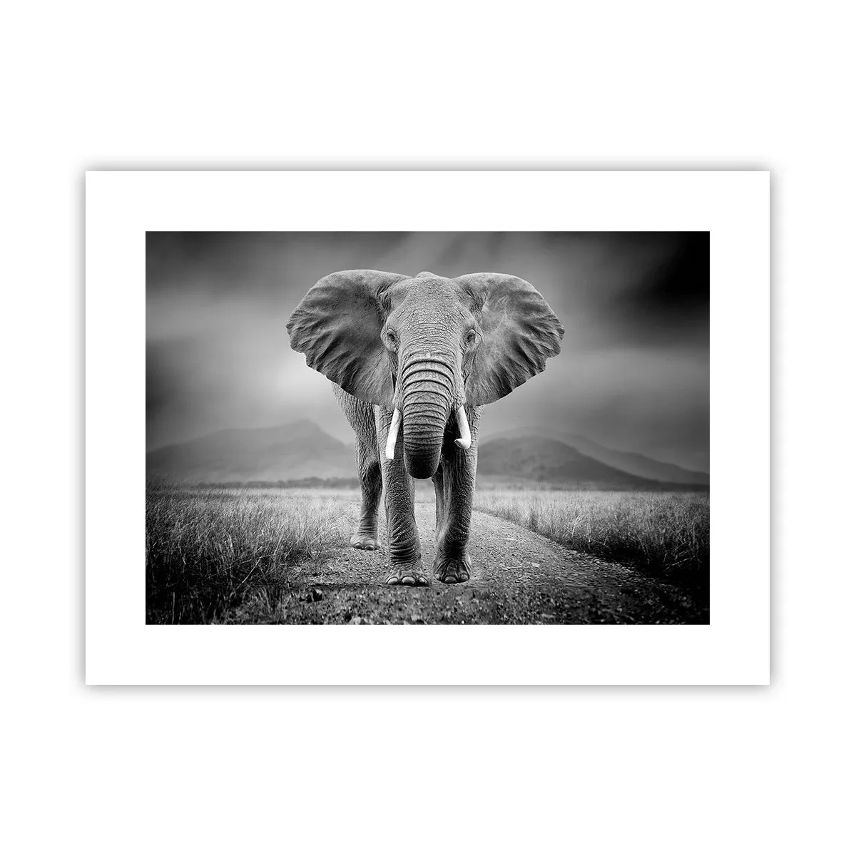 Poster - Il padrone di casa dà il benvenuto - 40x30 cm