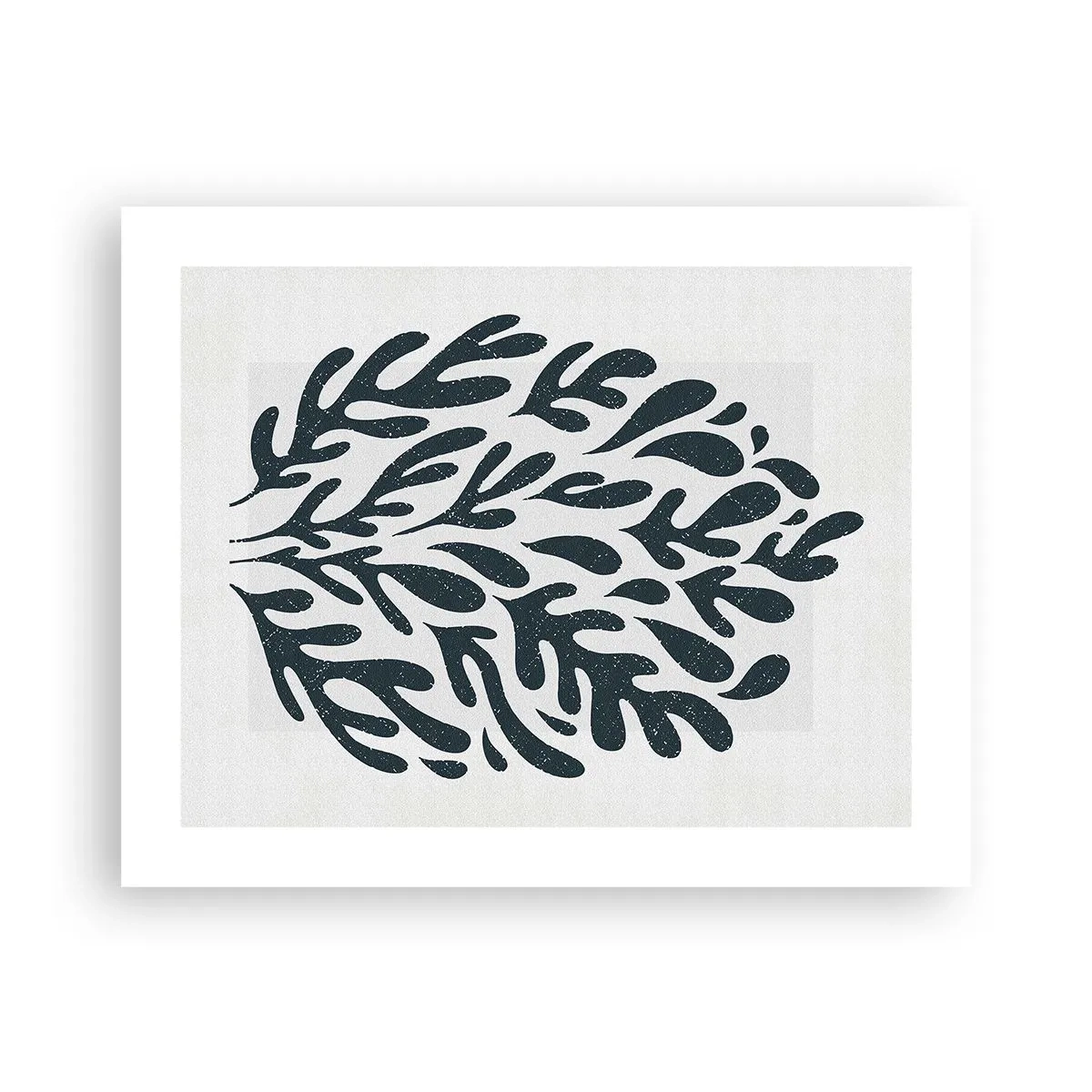 Poster - Le forme della natura - 50x40 cm