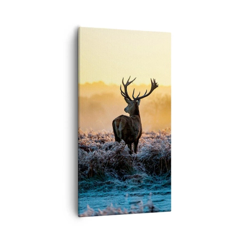 Quadro su tela - Stampe su Tela - Incoronato nelle sue terre - 55x100 cm