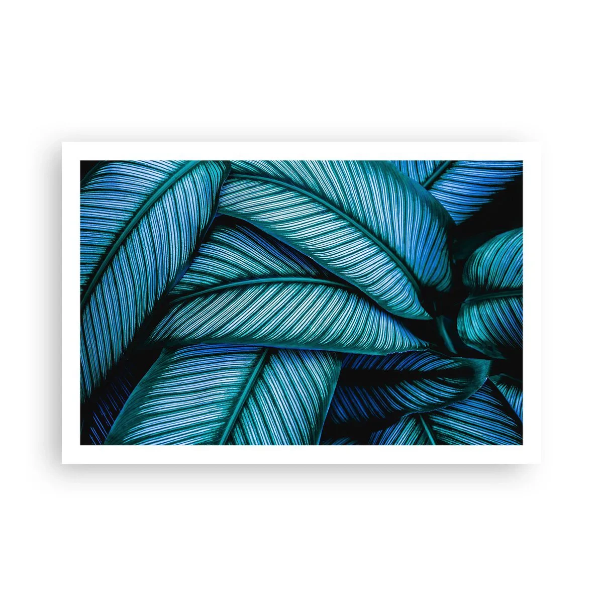 Poster - Le linee della vita - 91x61 cm