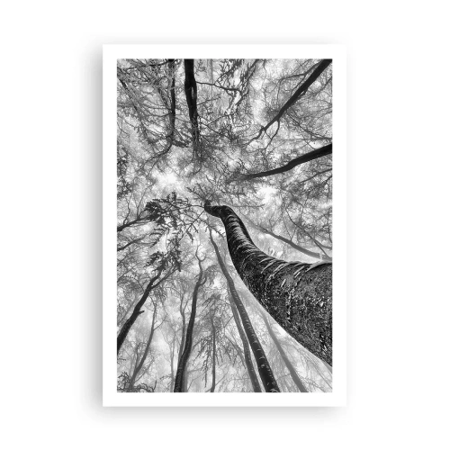 Poster - La corsa verso la luce - 61x91 cm