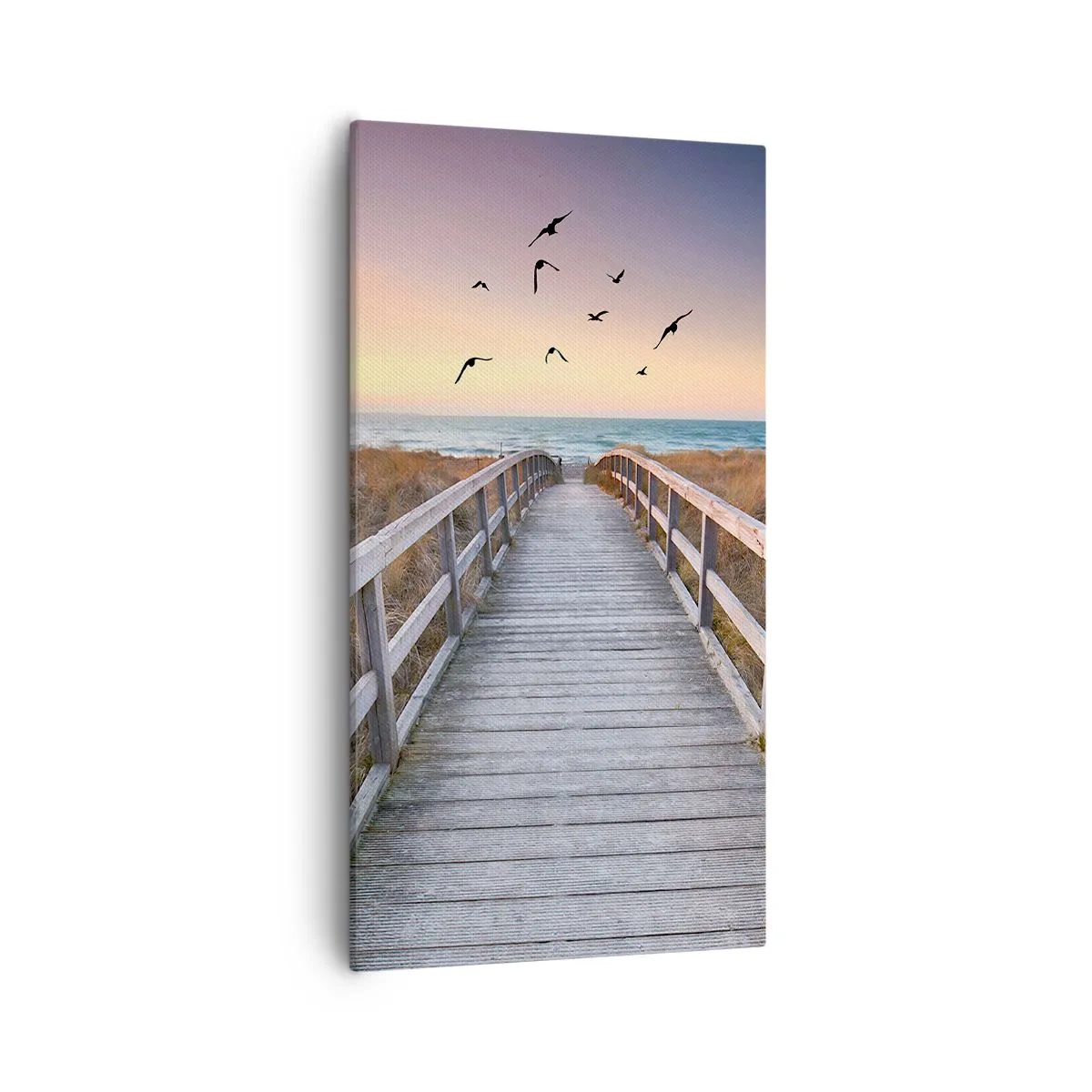 Quadro su tela - Stampe su Tela - Spazio per volare - 55x100 cm