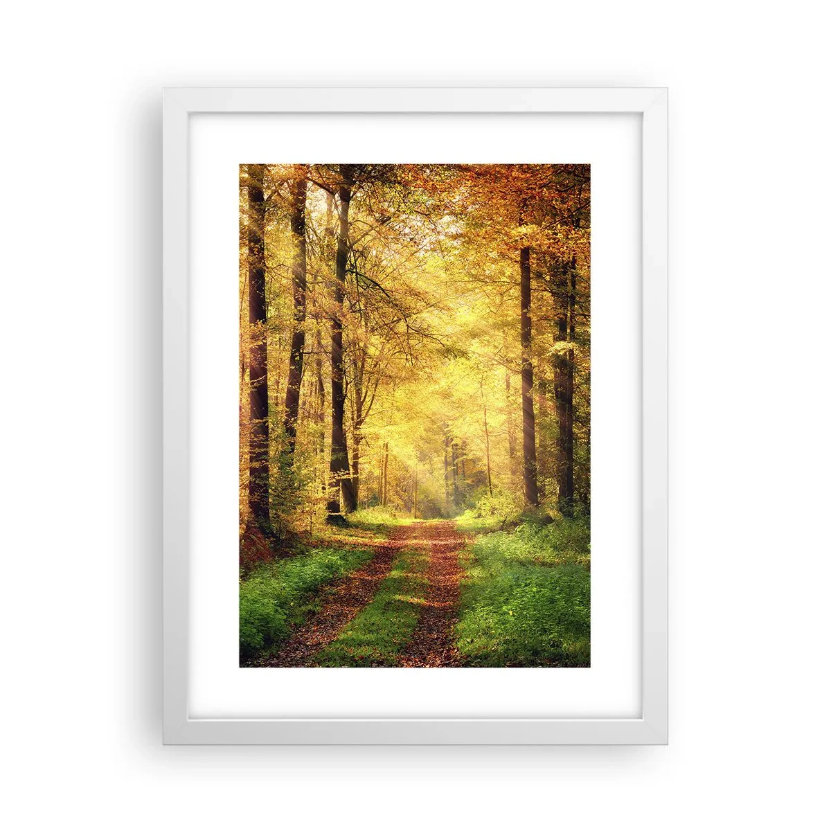 Poster in cornice bianca - Il silenzio d'oro del bosco - 30x40 cm