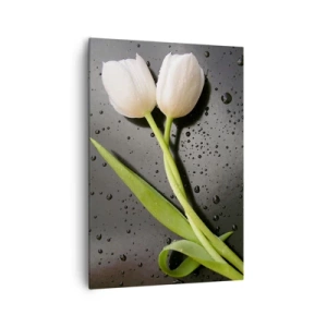 Quadro su tela - Stampe su Tela - Tulipani bianchi su sfondo nero con gocce d'acqua - 70x100cm - Intreccio primaverile - Decorazione murale moderna per soggiorno e camera da letto ARTTOR