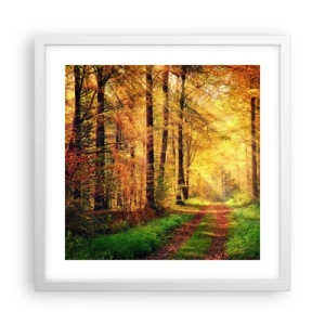 Poster in cornice bianca - Il silenzio d'oro del bosco - 40x40 cm