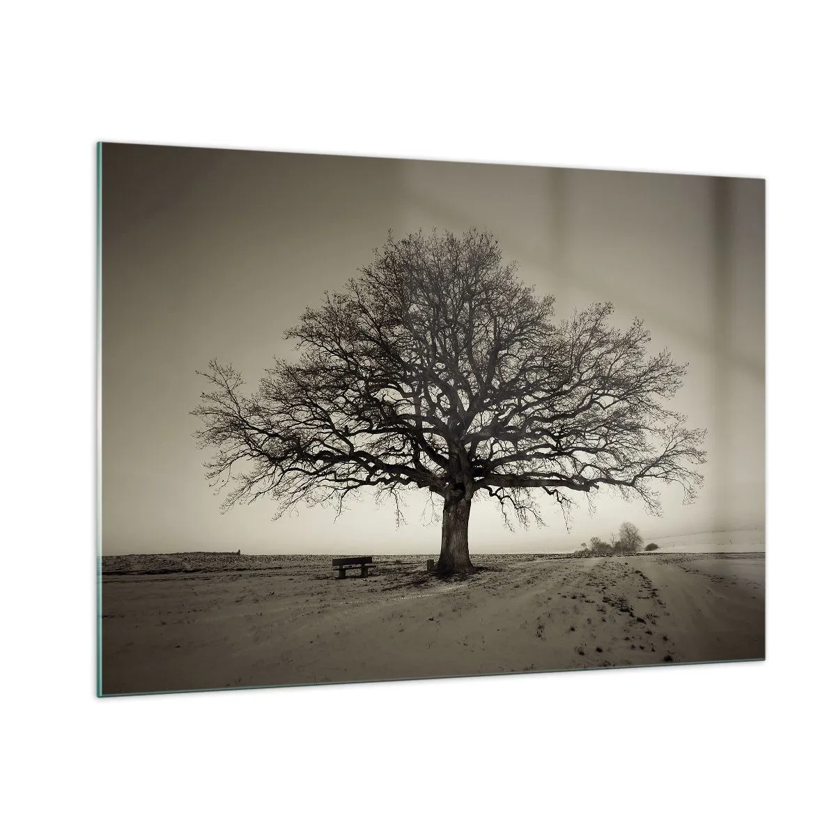 Quadro su vetro - Un albero solitario in un paesaggio monocromatico - 100x70cm - Da qui all'eternità - Decorazione murale moderna per soggiorno e camera da letto ARTTOR