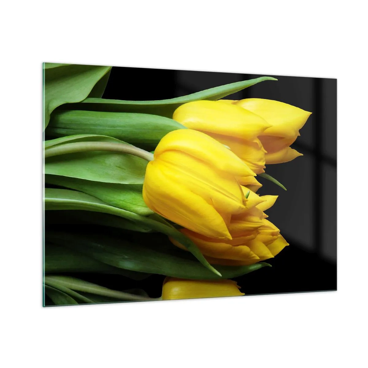 Quadro su vetro - Tulipani gialli su sfondo nero in uno scatto elegante - 100x70cm - Fatti di puro sole - Decorazione murale moderna per soggiorno e camera da letto ARTTOR