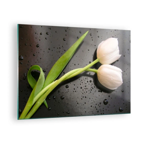 Quadro su vetro - Tulipani bianchi su uno sfondo con gocce d'acqua - 70x50cm - Intreccio primaverile - Decorazione murale moderna per soggiorno e camera da letto ARTTOR