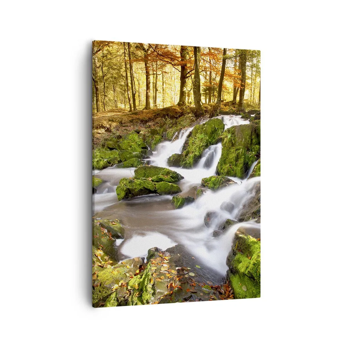 Quadro su tela - Stampe su Tela - Un paesaggio boscoso con una cascata circondata dal muschio - 50x70cm - Rapido nel bosco autunnale - Decorazione murale moderna per soggiorno e camera da letto ARTTOR
