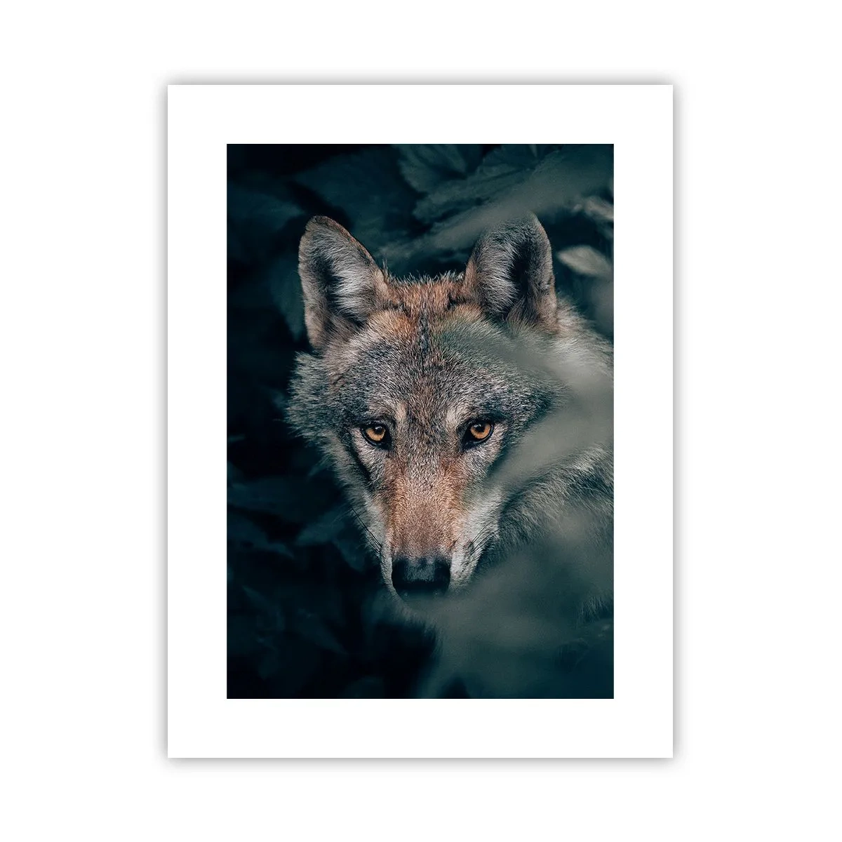 Poster - Cacciatore - 30x40 cm