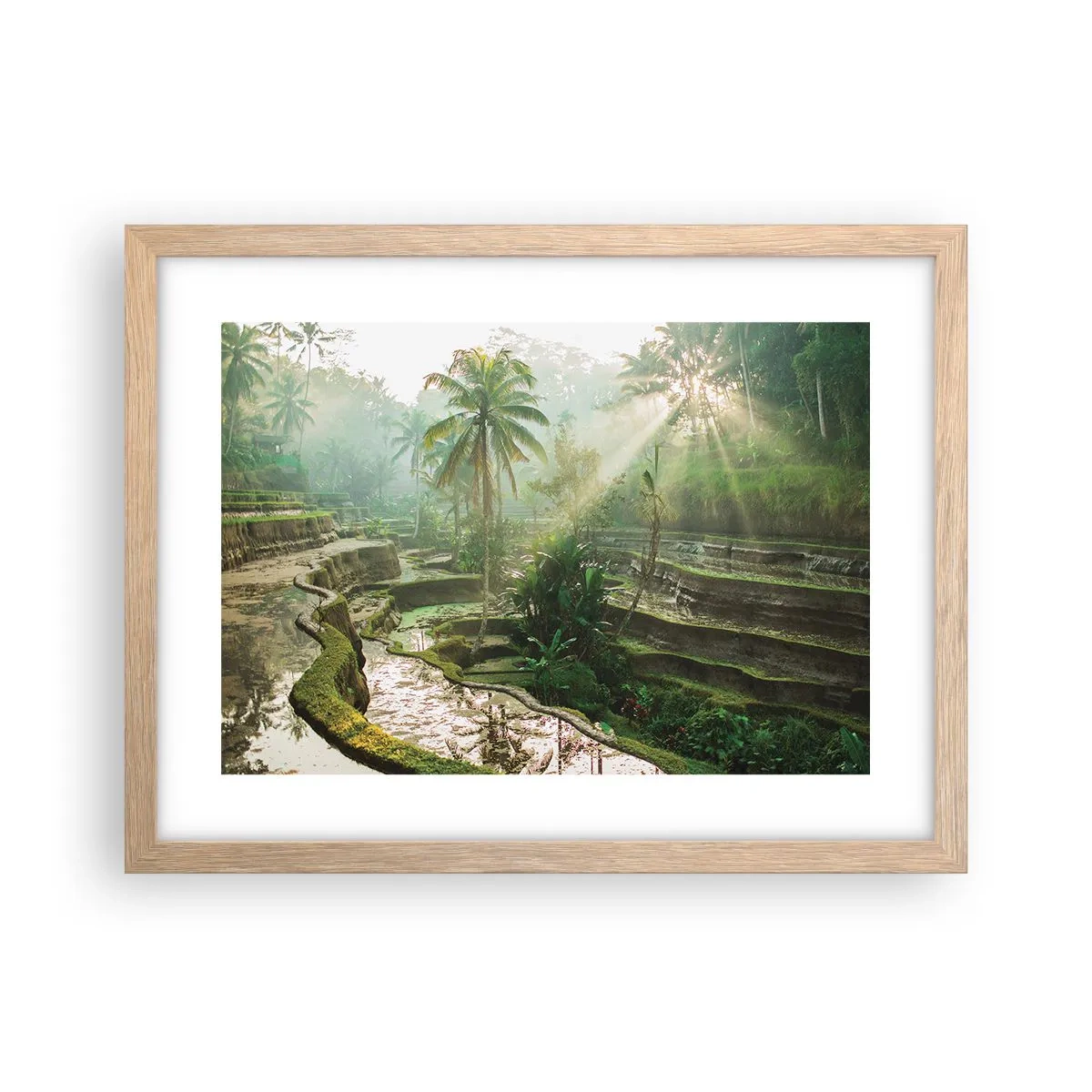 Poster in cornice rovere chiaro - Crescere al sole - 40x30 cm