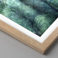 Rovere chiaro
