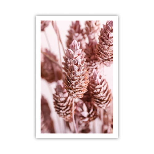 Poster - A prima vista poco appariscenti - 61x91 cm