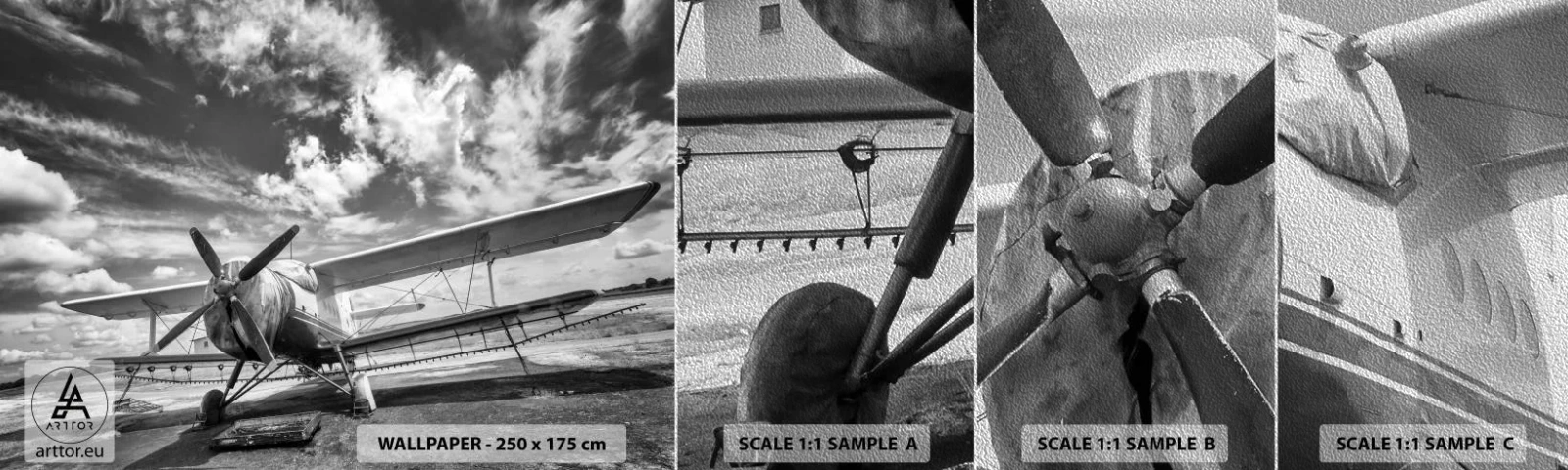 Campione di Fotomurale Premium Sand - Non vedo l'ora! - Aereo, Aereo, Bianco e nero - 100x30 cm