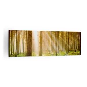 Quadro su tela - Stampe su Tela - Foresta di conifere con raggi di sole che brillano attraverso gli alberi - 160x50cm - Adesso appaiono gli elfi - Decorazione murale moderna per soggiorno e camera da letto ARTTOR