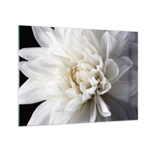 Quadro su vetro - Primo piano di una dalia bianca su sfondo nero e grigio - 70x50cm - Il mattino della sposa - Decorazione murale moderna per soggiorno e camera da letto ARTTOR