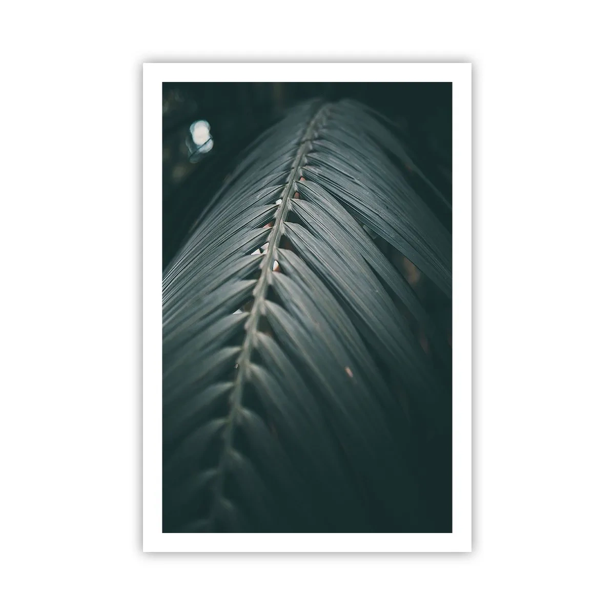 Poster - La precisione della natura - 61x91 cm