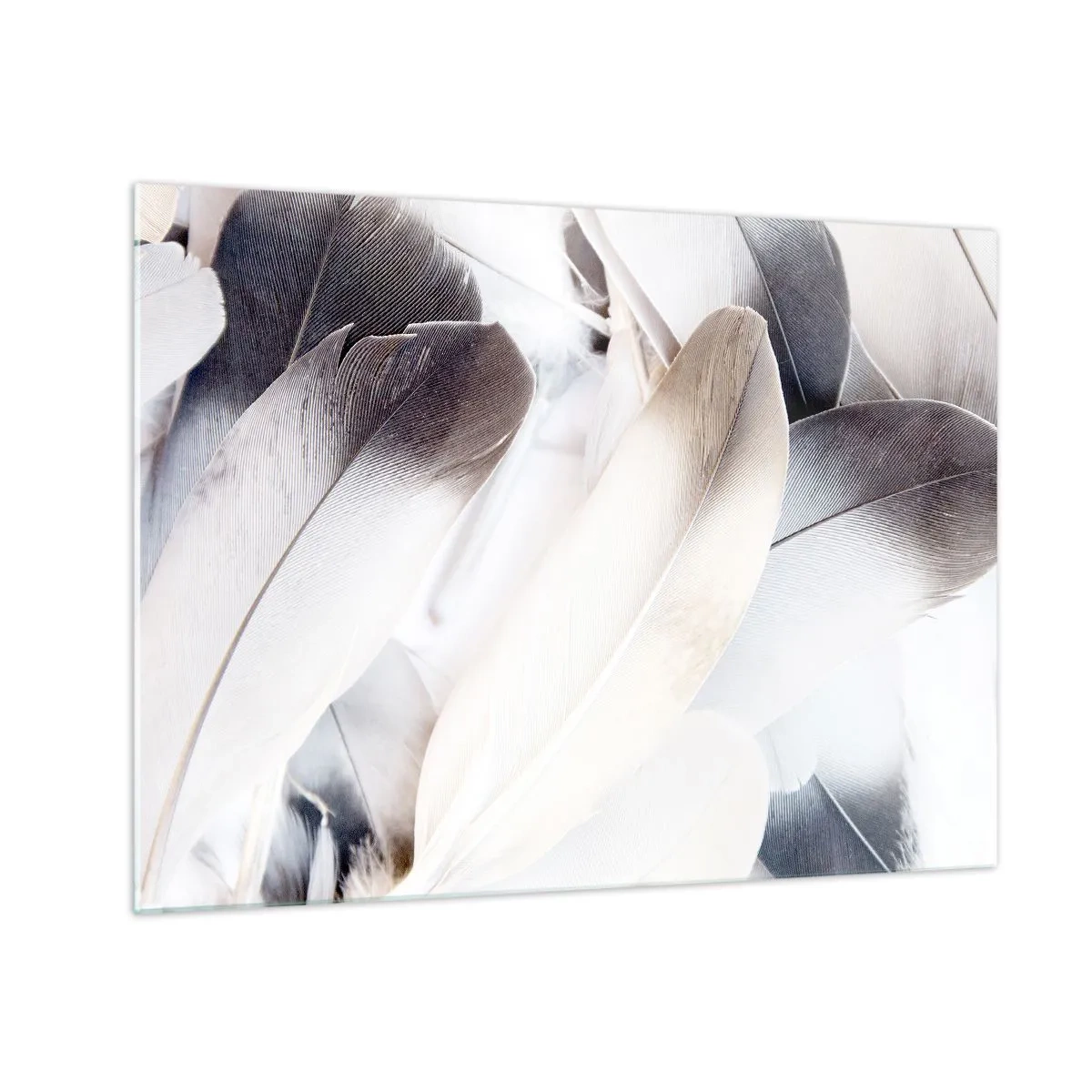 Quadro su vetro - Piume delicate e leggere nei toni del bianco e del grigio - 70x50cm - Quasi angeliche - Decorazione murale moderna per soggiorno e camera da letto ARTTOR