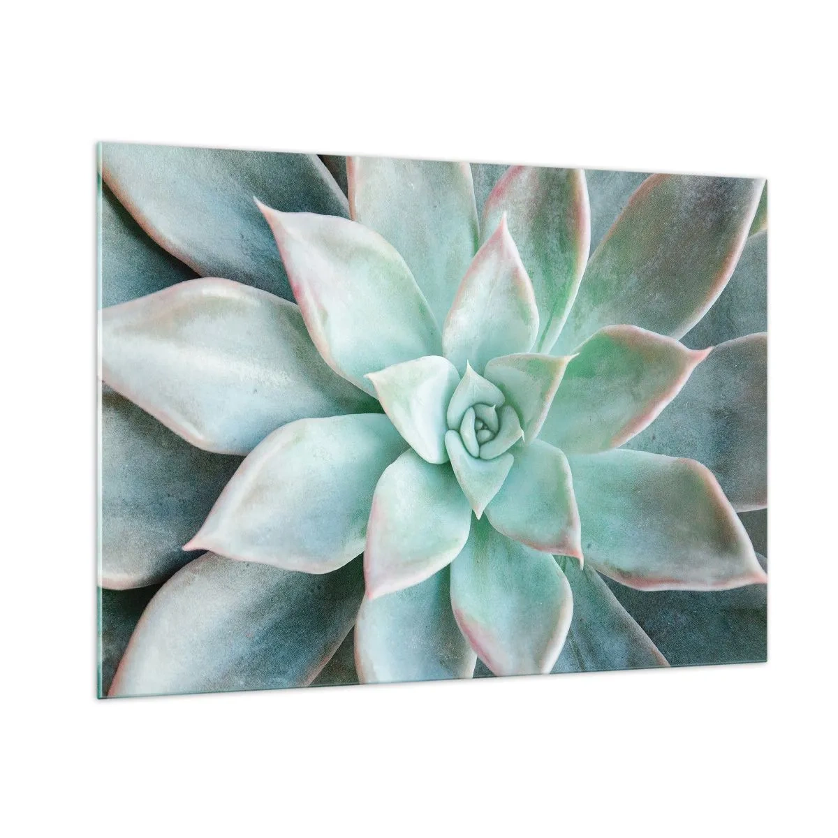 Quadro su vetro - Foglie succulente secche con una delicata tonalità grigio-verde - 100x70cm - Il cuore del deserto - Decorazione murale moderna per soggiorno e camera da letto ARTTOR