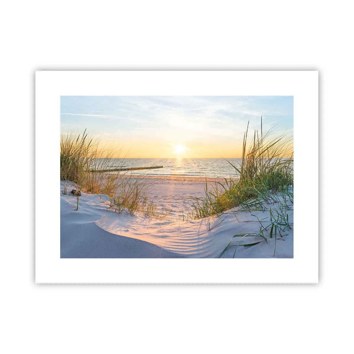 Poster - Rumore del mare, uccelli che cantano, spiaggia selvatica tra i cespugli... - 40x30 cm