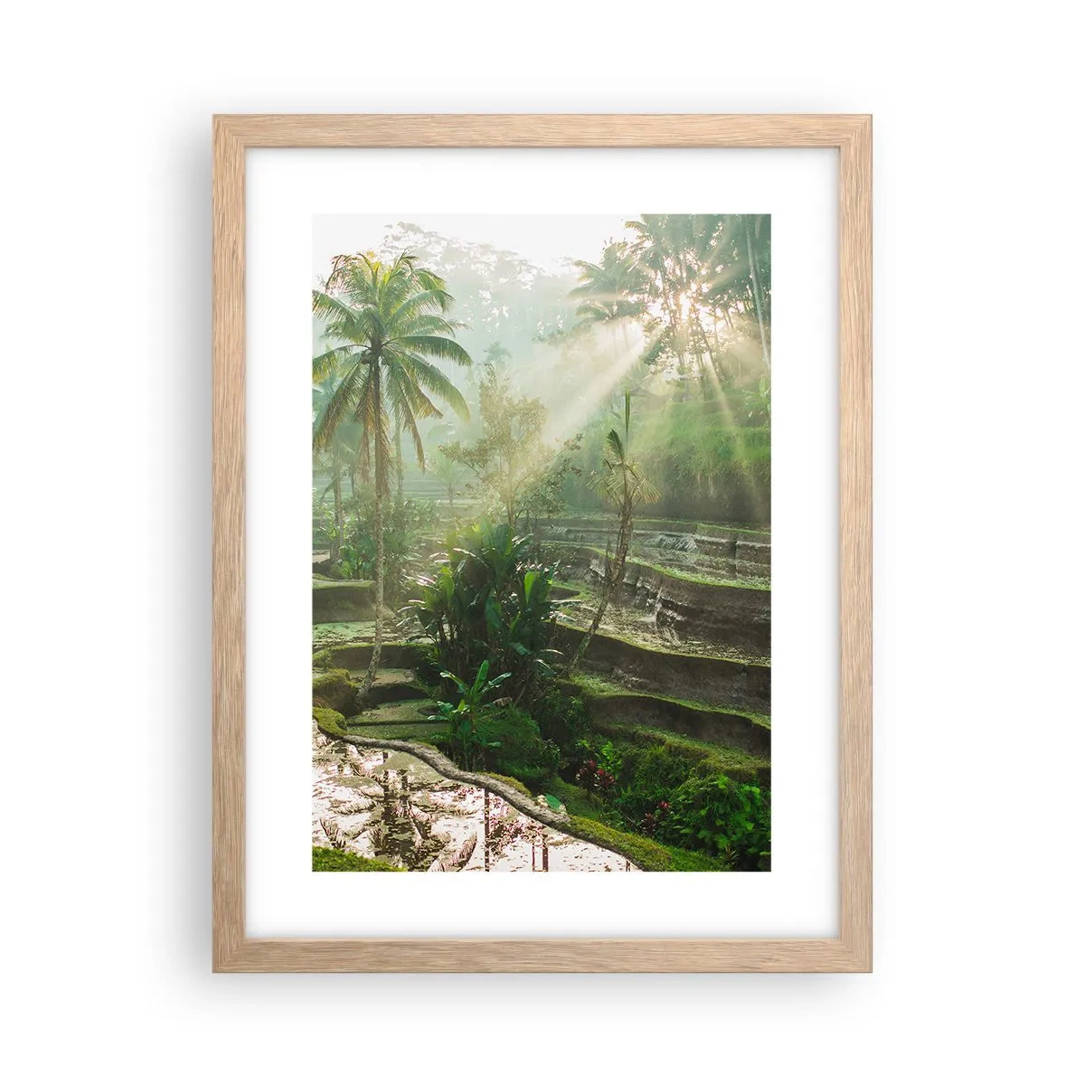 Poster in cornice rovere chiaro - Crescere al sole - 30x40 cm