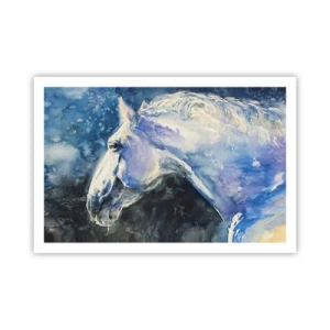 Poster - Ritratto in luce blu - 91x61 cm