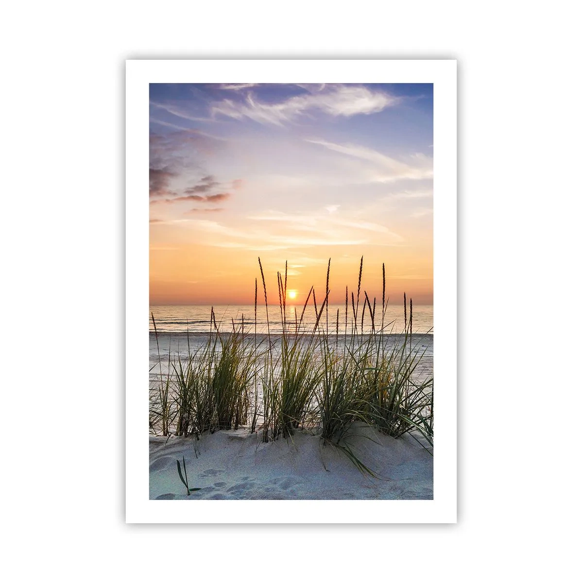 Poster - Spiaggia con vegetazione all'alba - 50x70cm - Guarda, pensa, senti - Decorazione murale moderna per soggiorno e camera da letto ARTTOR