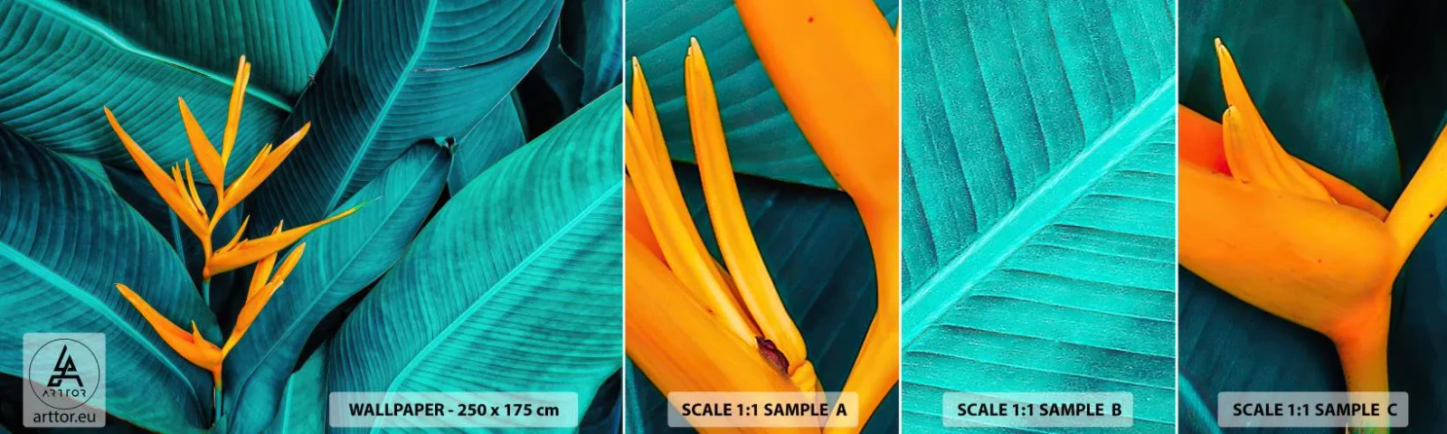 Campione Di Fotomurale Standard Eco - Il fiore dell'Eden - Strelitzia Reale, Fiore, Africa - 100x30 cm