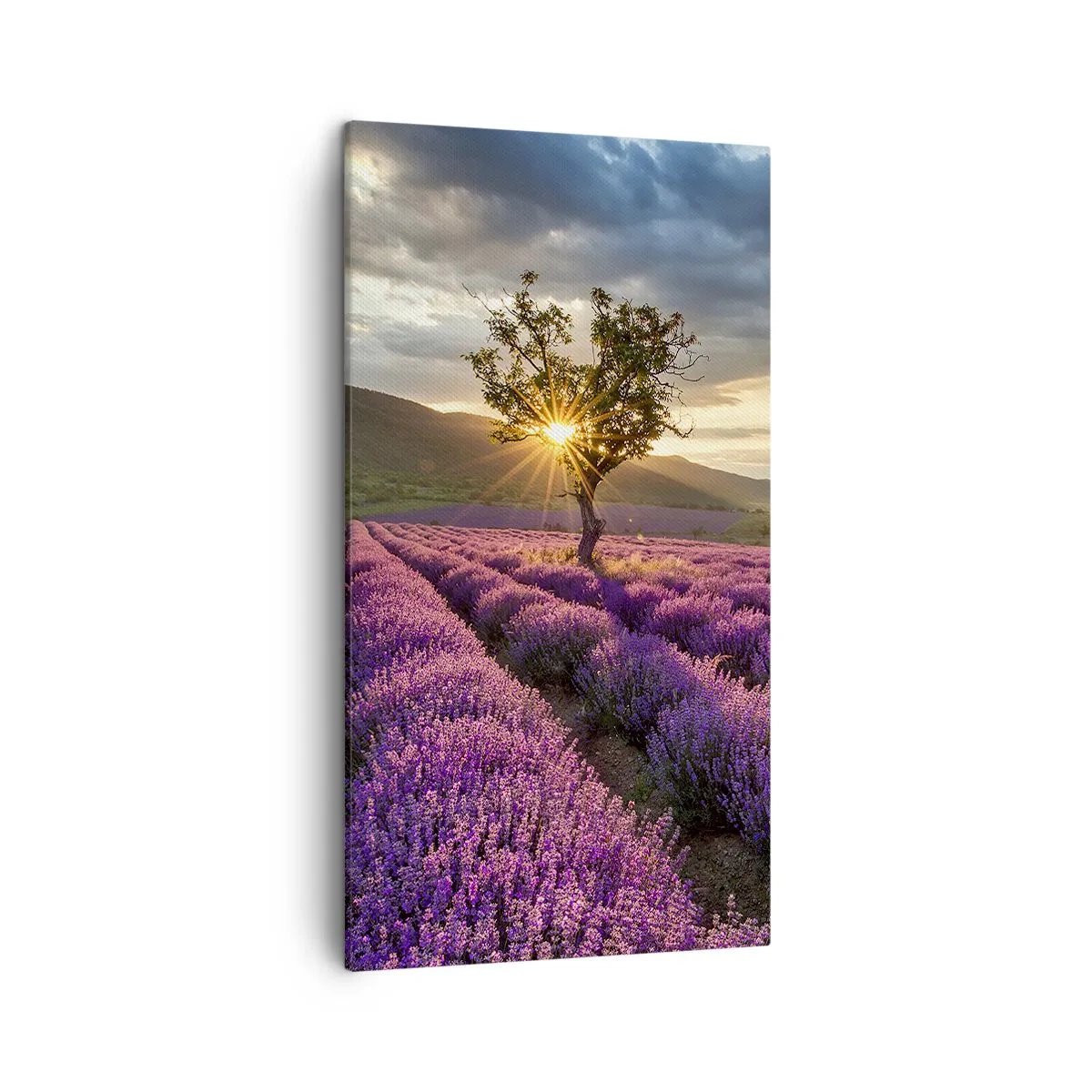 Quadro su tela - Stampe su Tela - Aroma di colore lilla - 45x80 cm