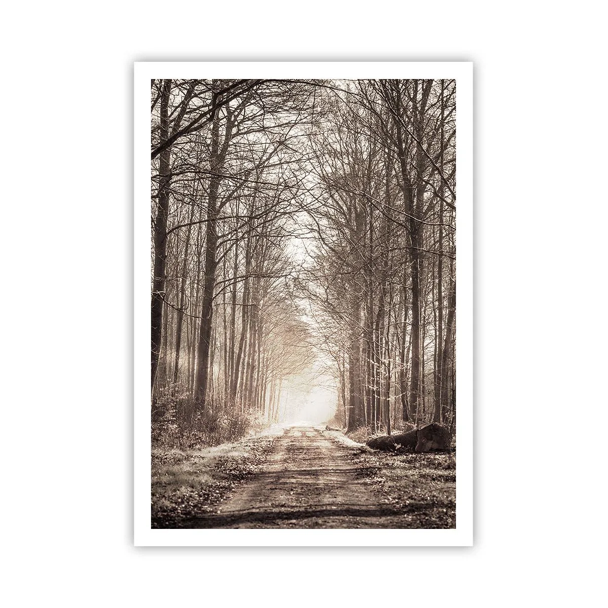 Poster - La cattedrale del bosco - 70x100 cm