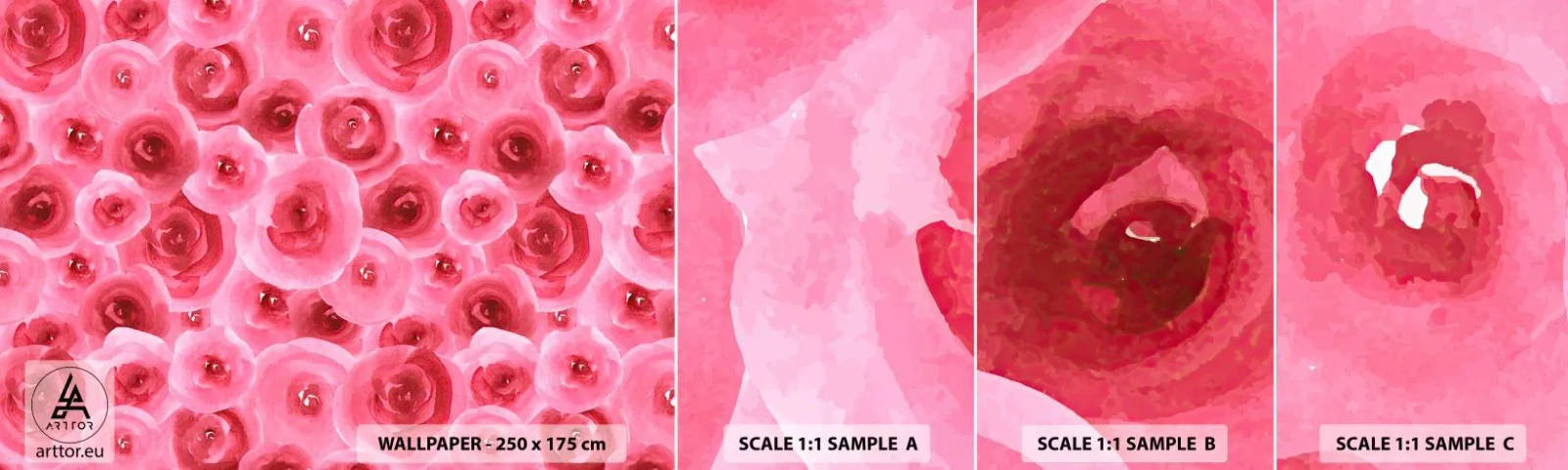 Campione di Fotomurale Adesivo Deluxe Sticker - Rose in alto e in basso - Fiori, Bellezza, Romanticismo - 100x30 cm