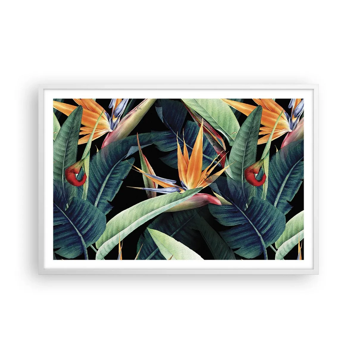 Poster in cornice bianca - I fiori fiammeggianti dei tropici - 91x61 cm