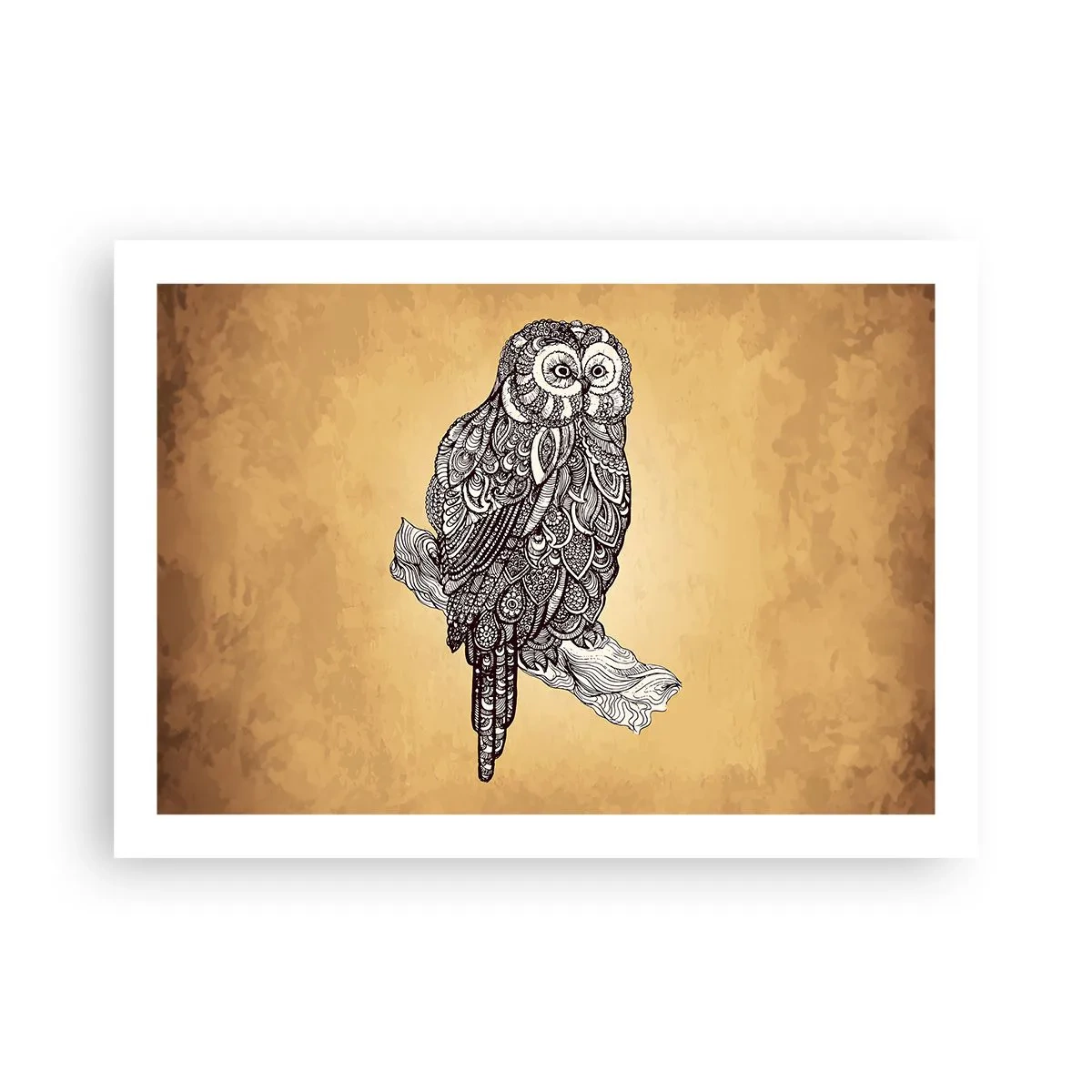 Poster - Delicati ghirigori di saggezza - 70x50 cm