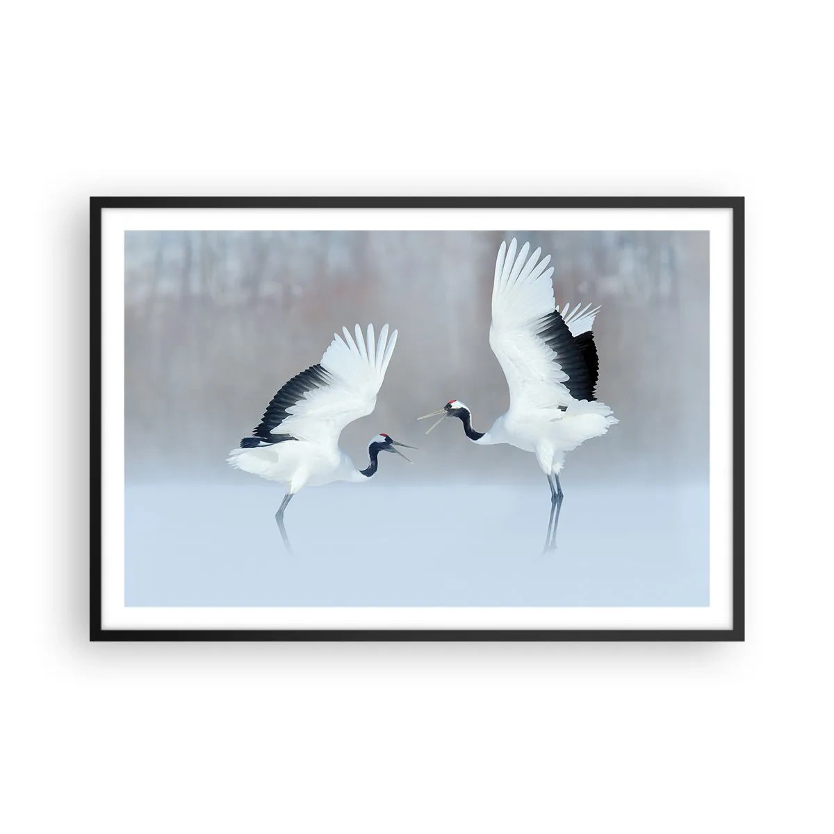 Poster in cornice nera - Danza nella nebbia - 91x61 cm