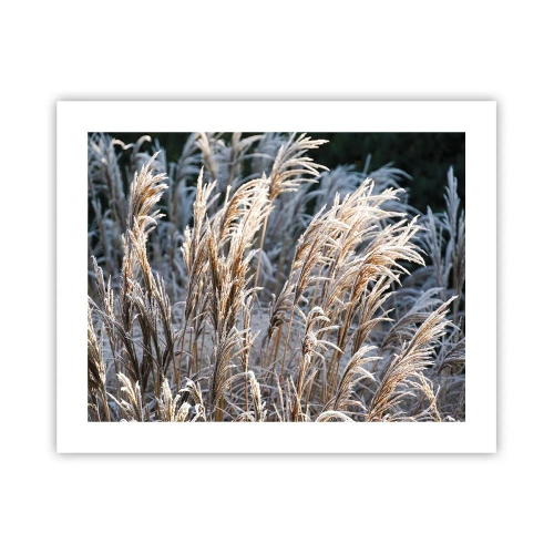 Poster - Vestite di brina - 50x40 cm