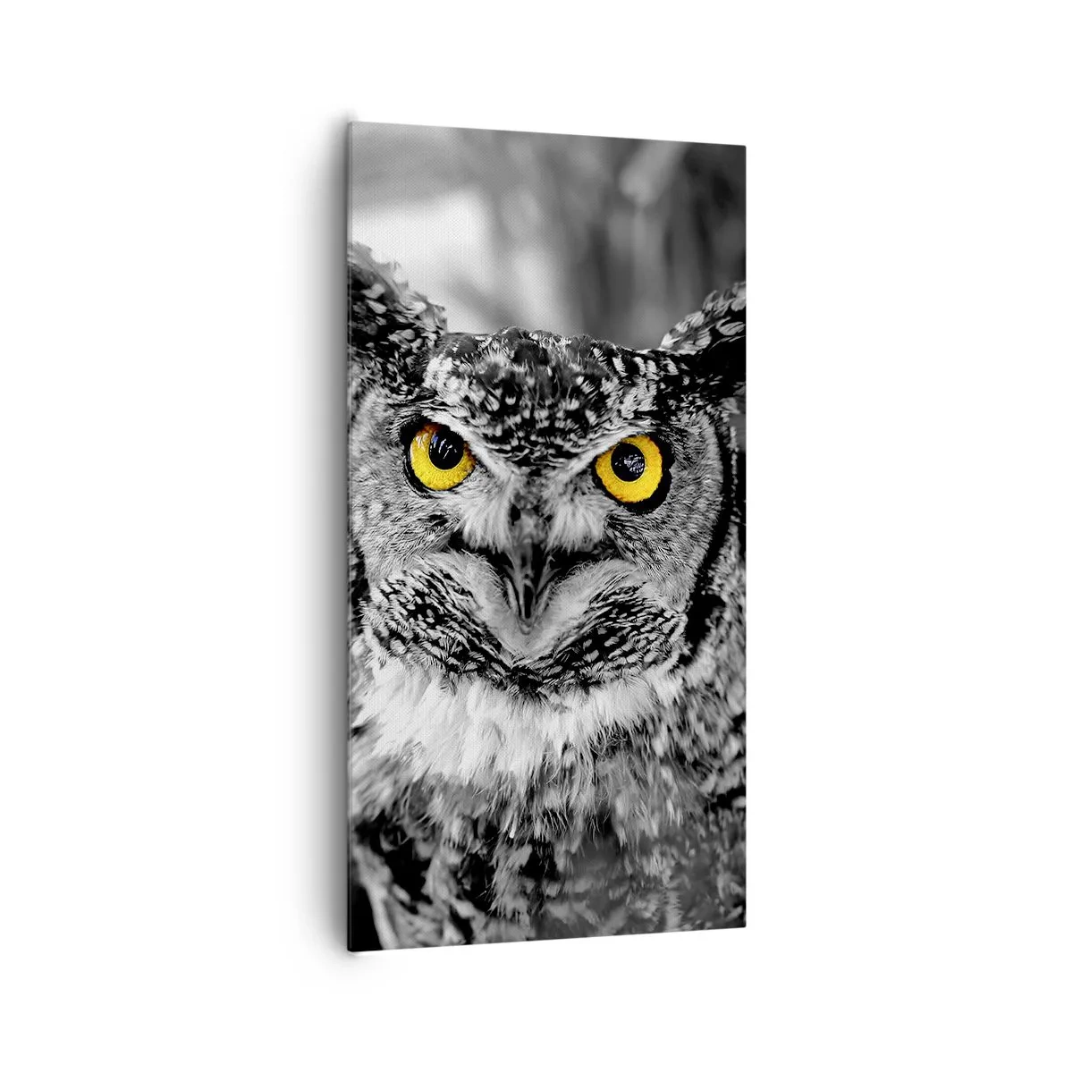 Quadro su tela - Stampe su Tela - Non si può nascondere niente - 65x120 cm