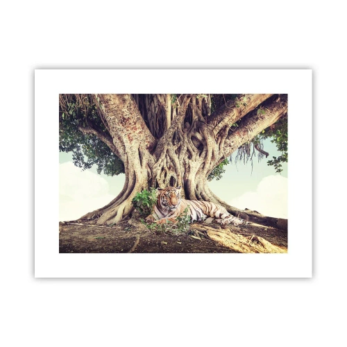 Poster - Vista dal Libro della Genesi - 40x30 cm