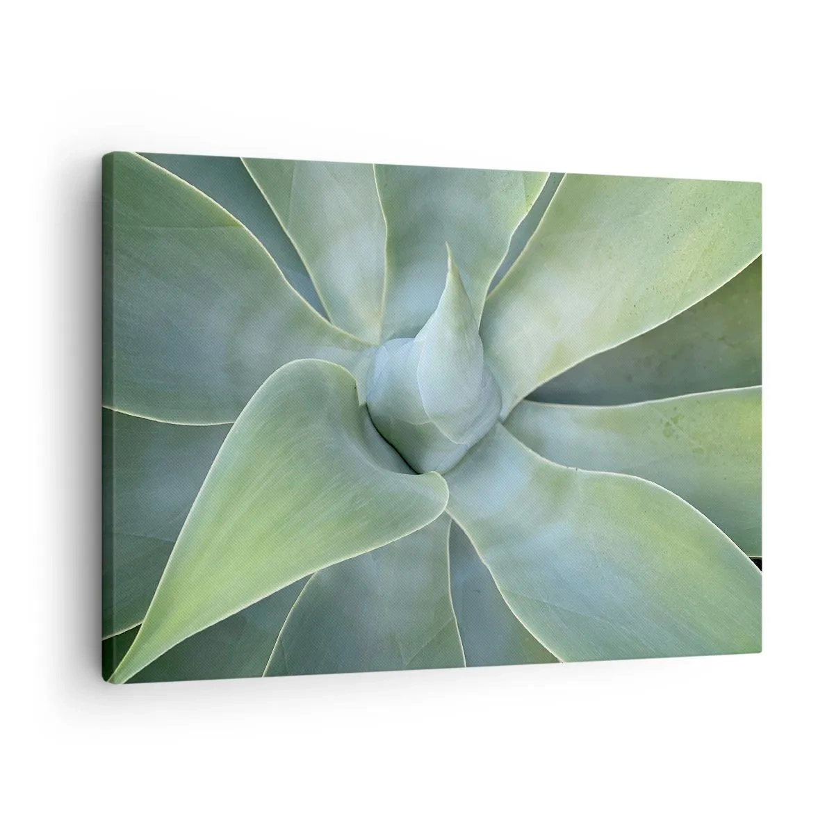 Quadro su tela - Stampe su Tela - Foglie di agave delicate in tonalità di verde - 70x50cm - La nascita del verde - Decorazione murale moderna per soggiorno e camera da letto ARTTOR