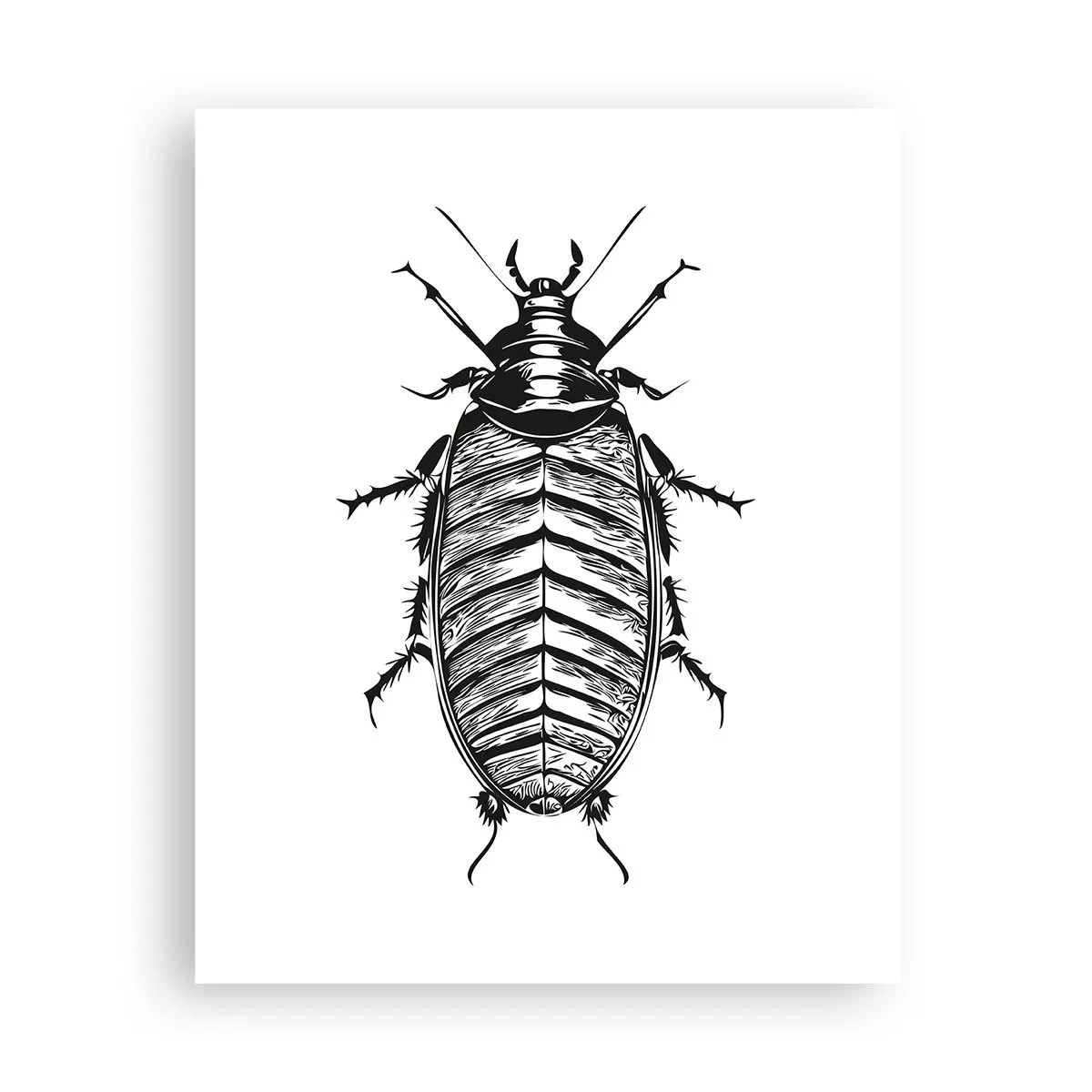 Poster - Che esemplare! - 40x50 cm